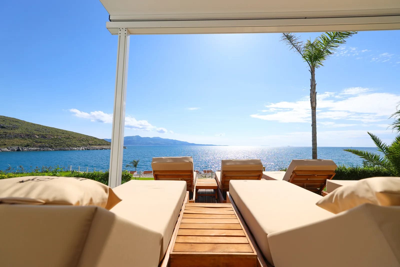 Pool deck with palm trees